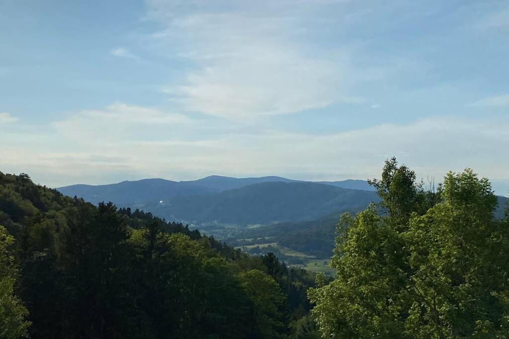 URIG / Mitten im Bayerischen Wald + Schönblick + NETFLIX Schöfweg Exterior foto